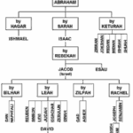 Jesus Family Tree
