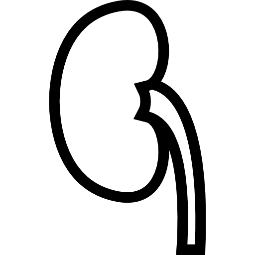 Kidneys Coloring Pages Coloring Nation