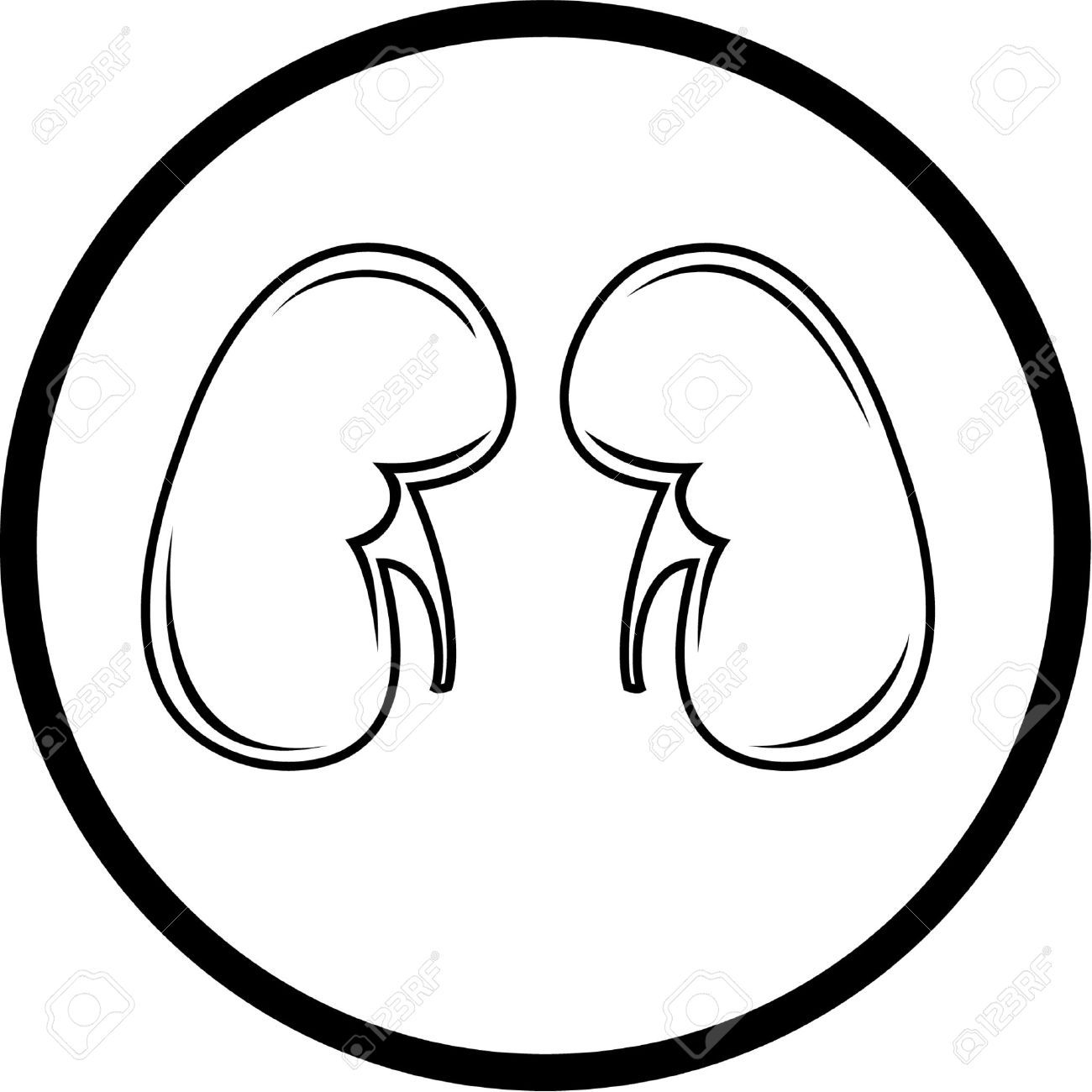 Kidneys Coloring Pages Coloring Nation