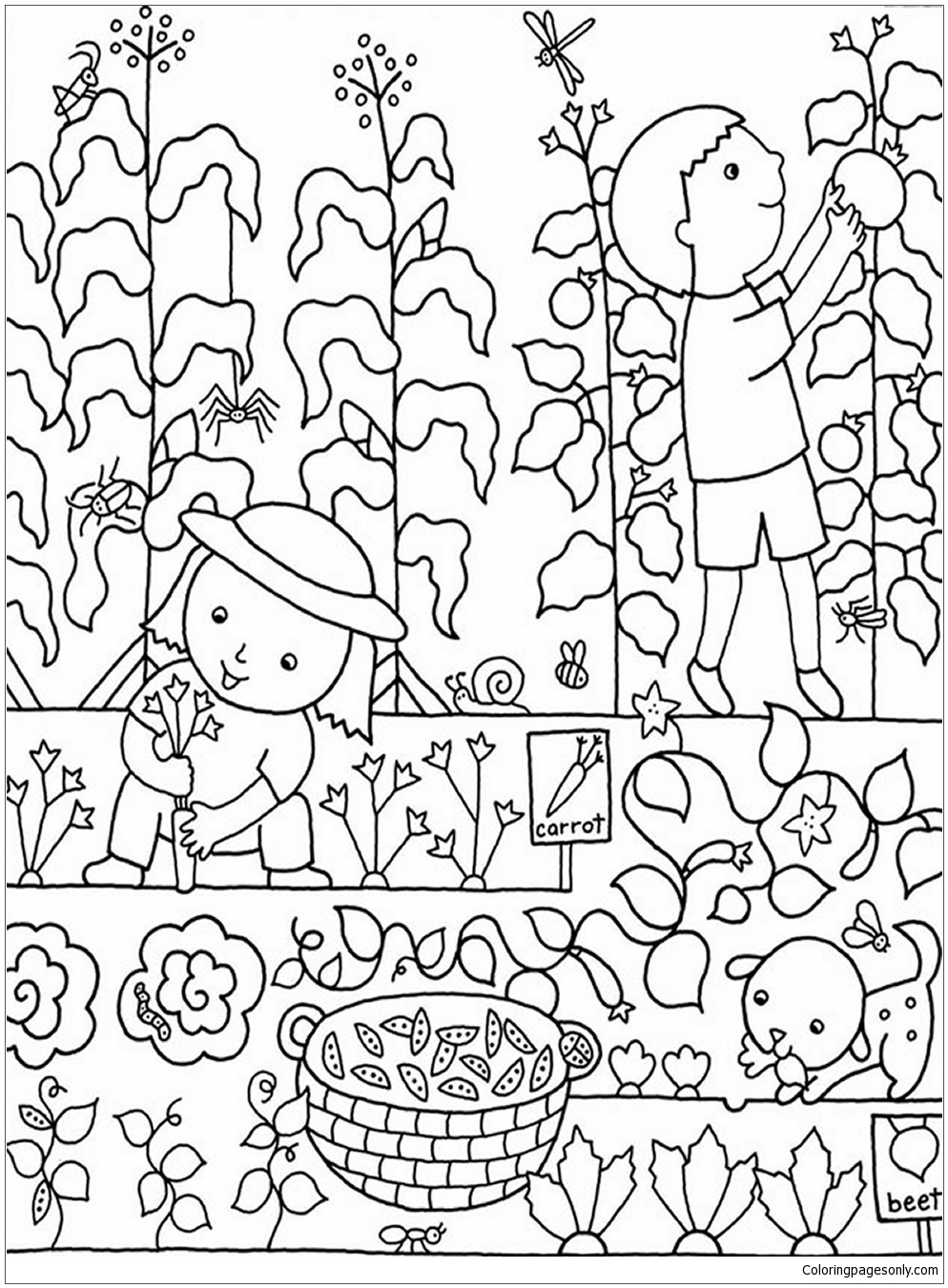 gardening colouring sheets