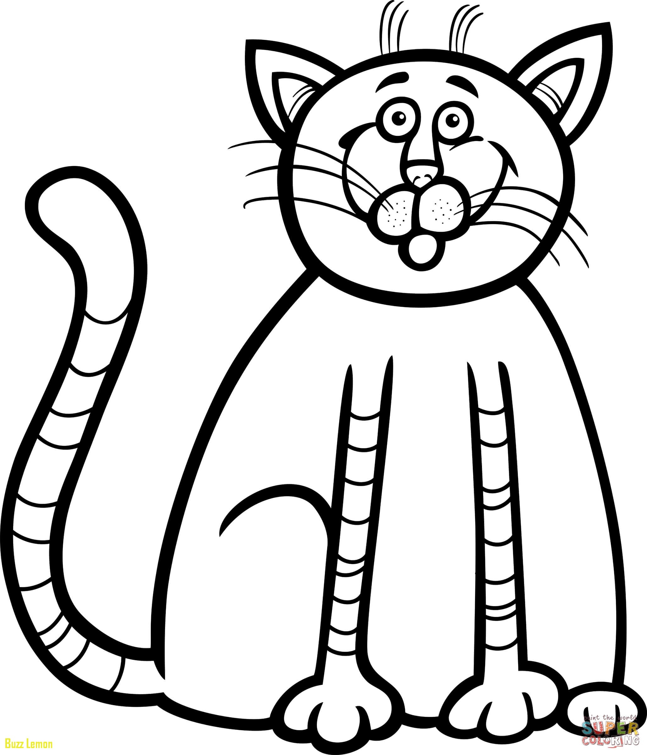 Kitten Coloring Pages Printable At GetColorings Free Printable