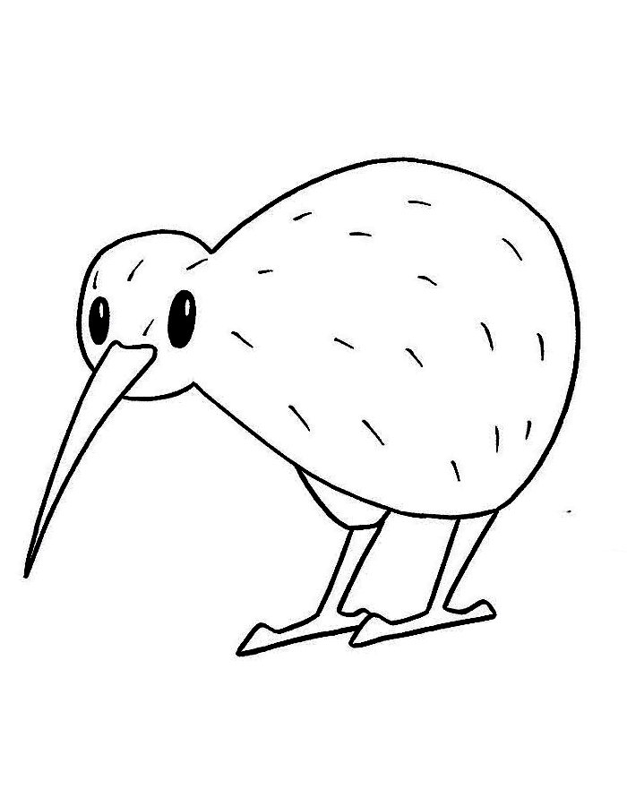 Kiwi Bird Free Printable Coloring Page Free Printable PDF 