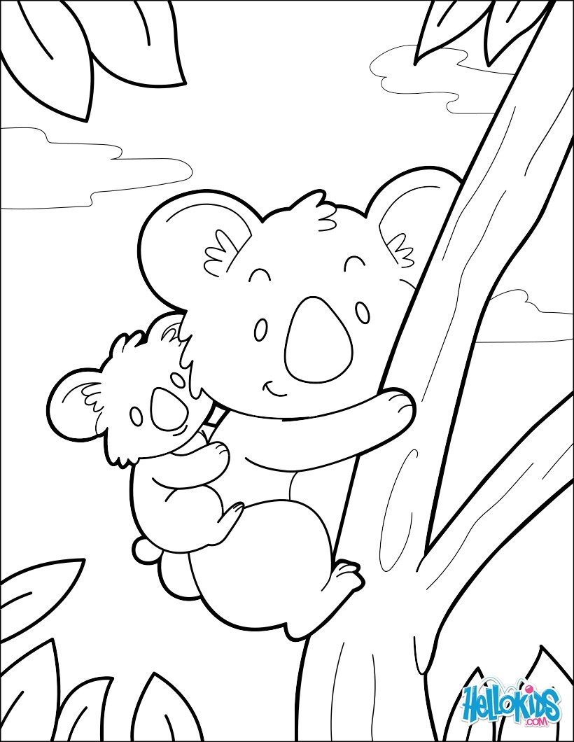 Koala Coloring Pages