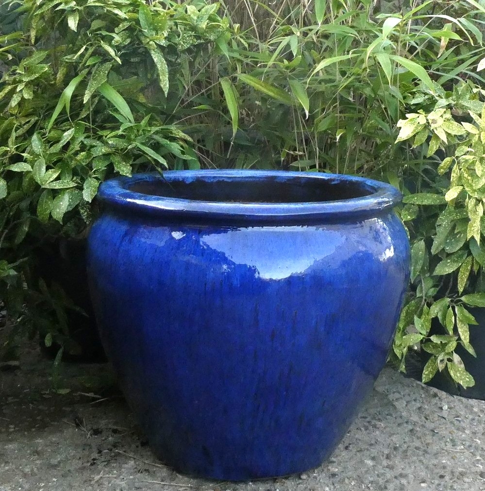 garden blue print