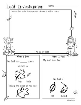 Leaf Investigation Pre K Fall Science Worksheet By JolieDesign TpT