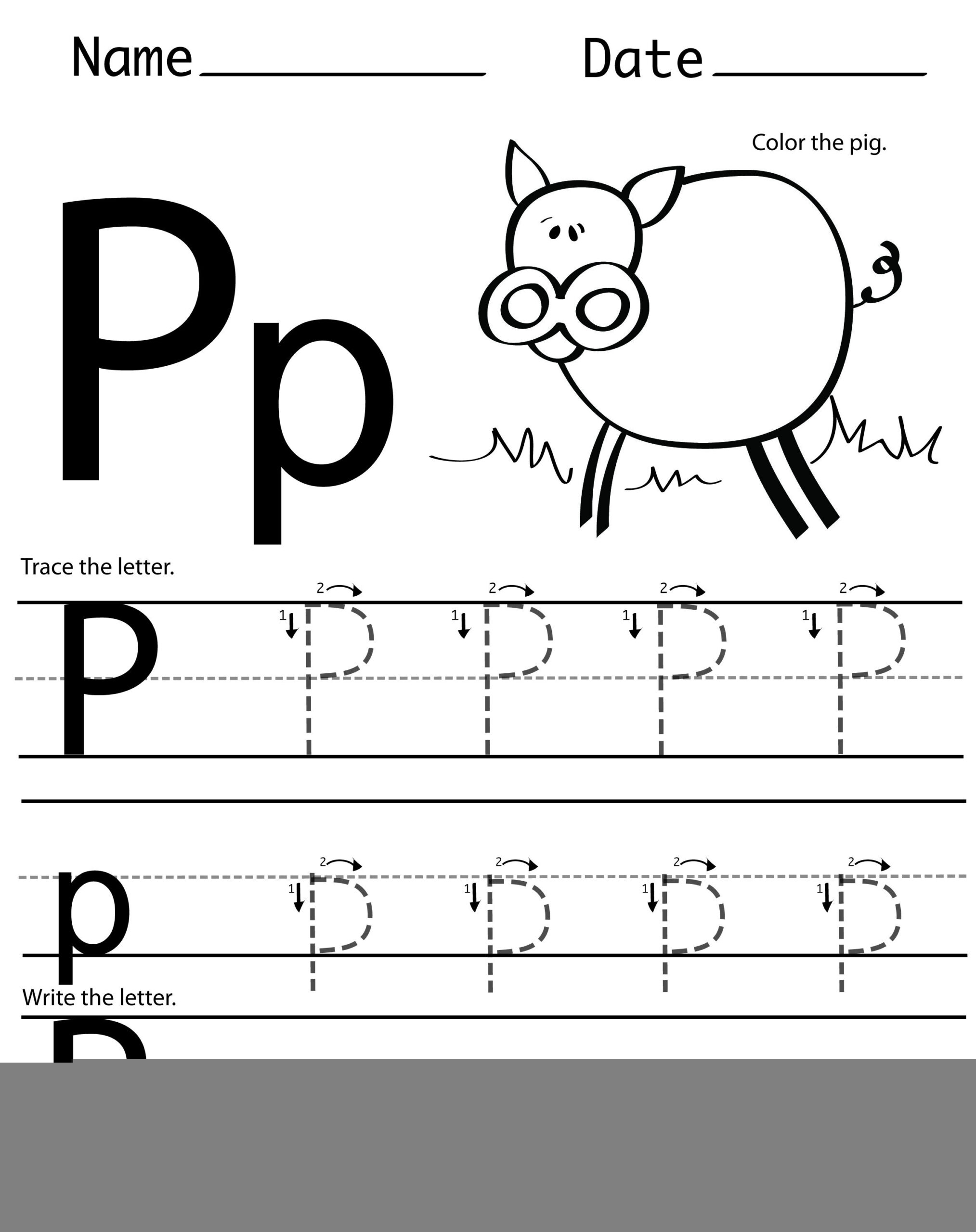 Letter P Printable Worksheets Printable Worksheets