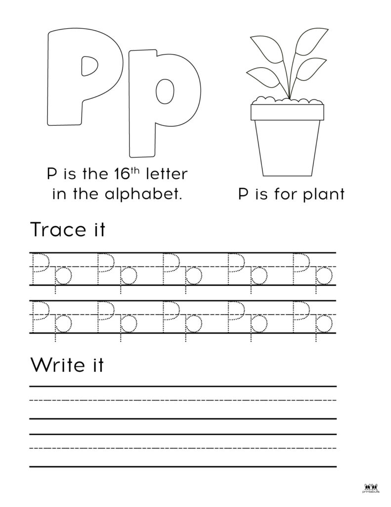 Letter P Worksheets 50 FREE Printables Printabulls Worksheets Library