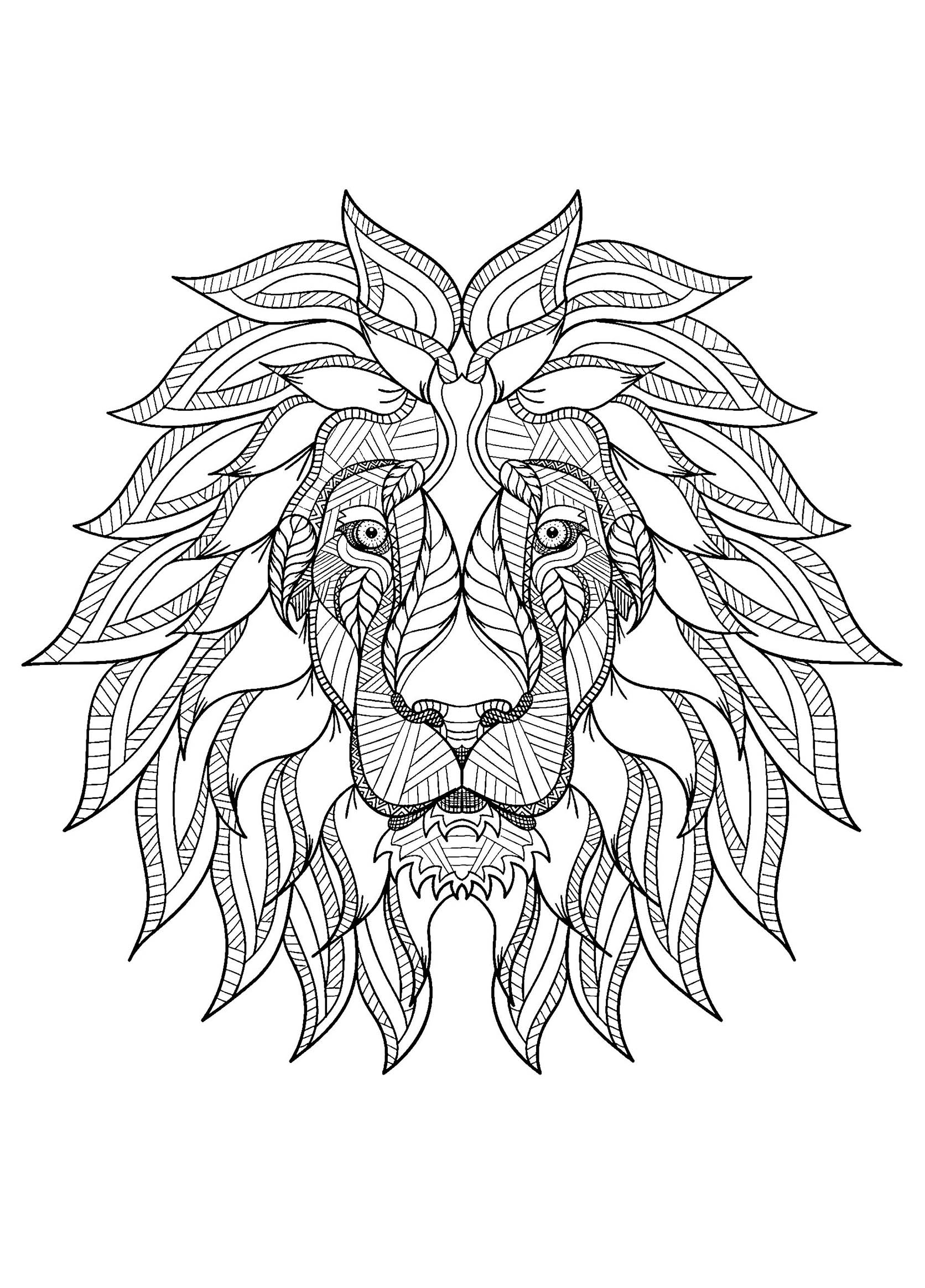 Lion Coloring Page