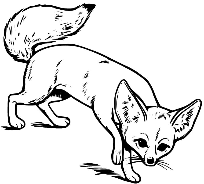 Little Fennec Fox Coloring Page Free Printable Coloring Pages For Kids