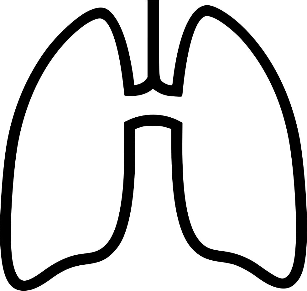 Lungs Clipart Printable Lungs Printable Transparent FREE For Download 
