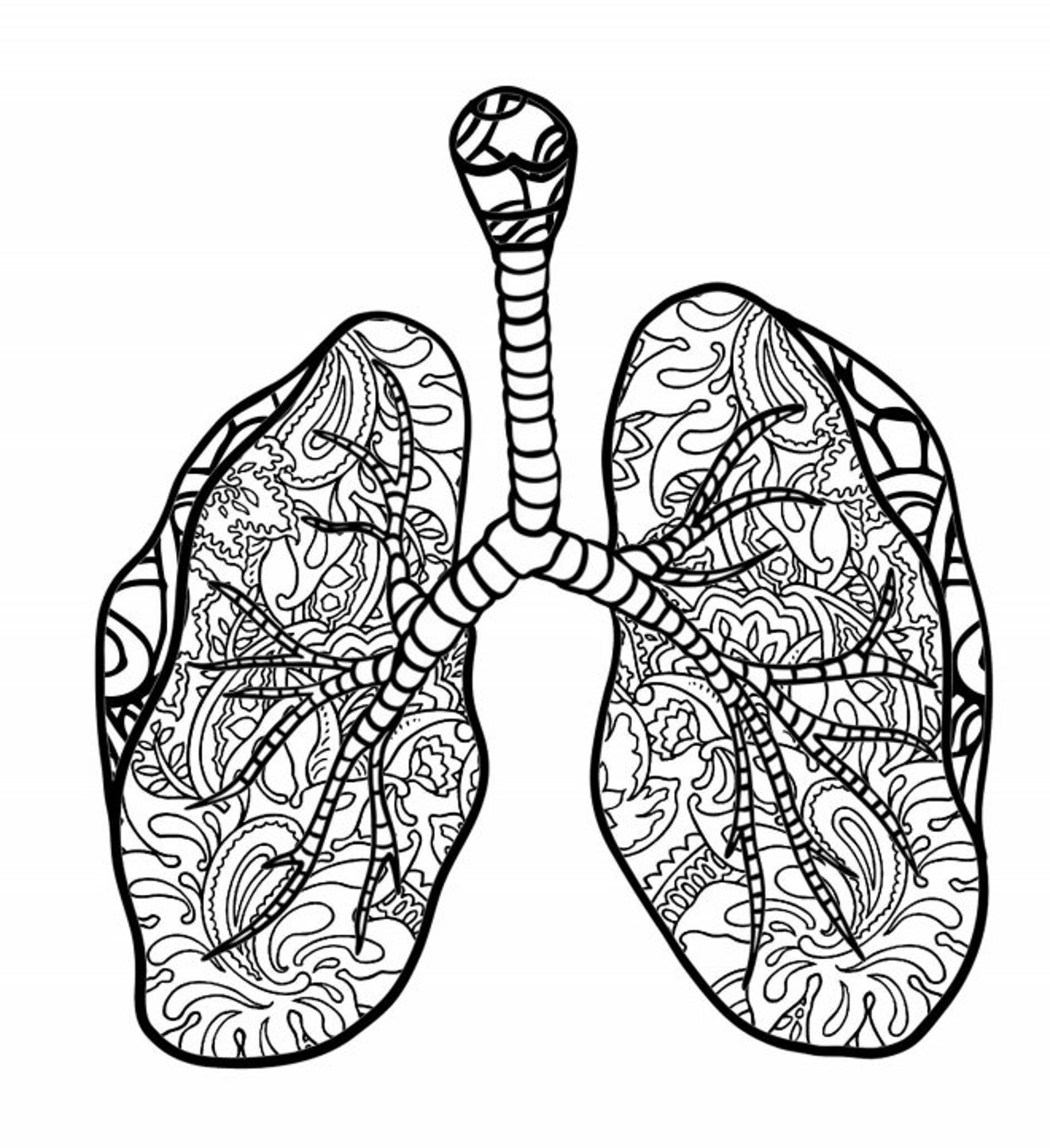 printable lungs picture