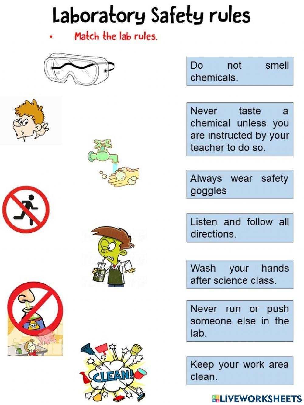 lab safety worksheet
