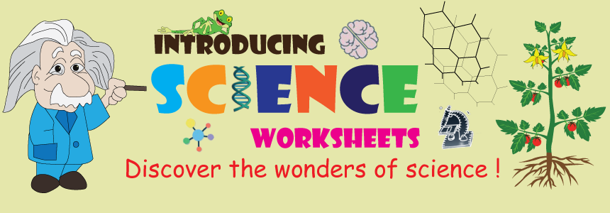 Math Worksheets 4 Kids