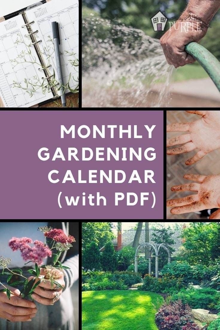 Minnesota Gardening Calendar 2025 Kathleen Jian