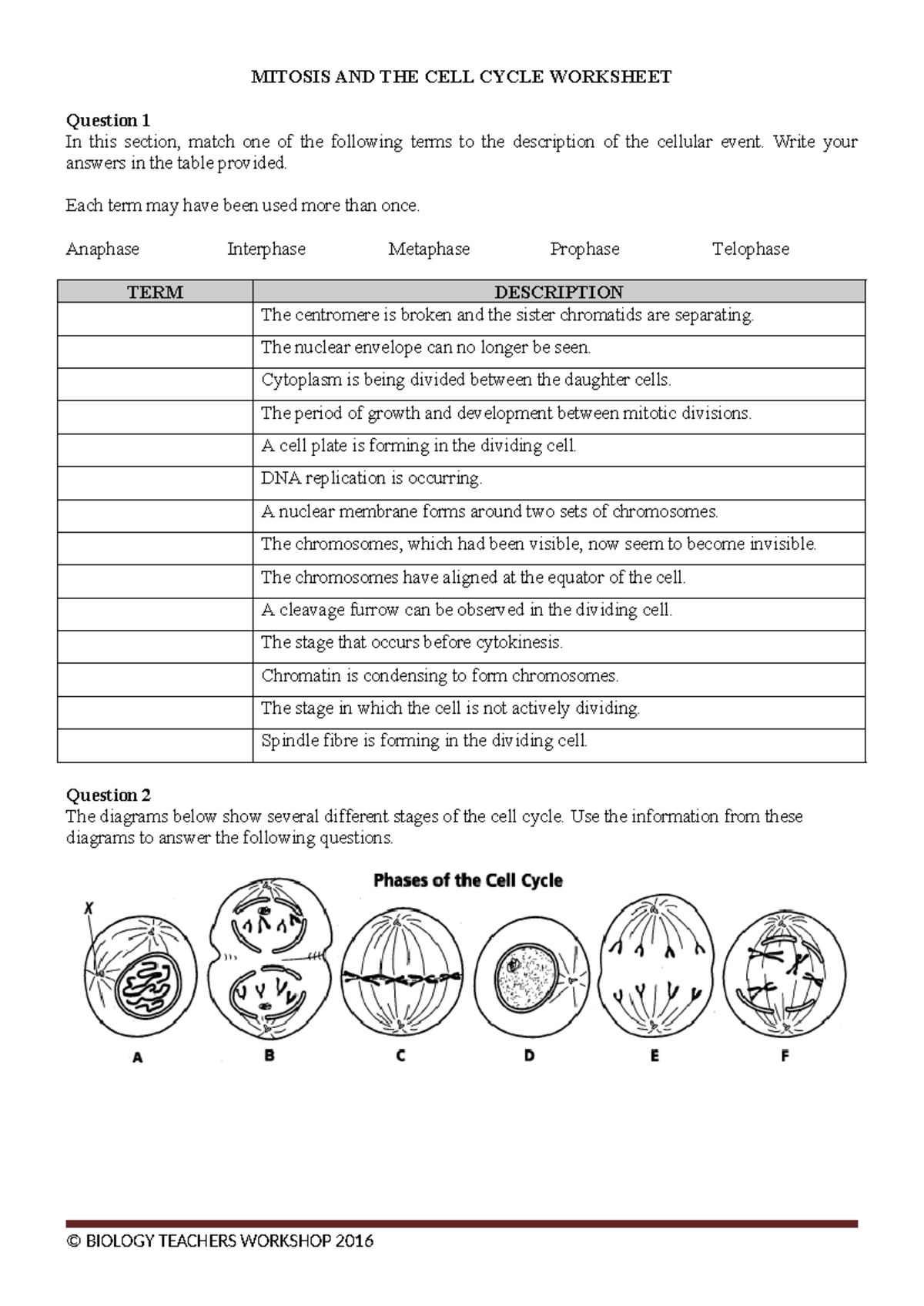 Mitosis Worksheet PDF Meiosis Mitosis Worksheets Library