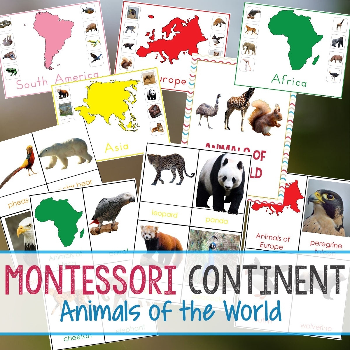 free printable animal classification cards