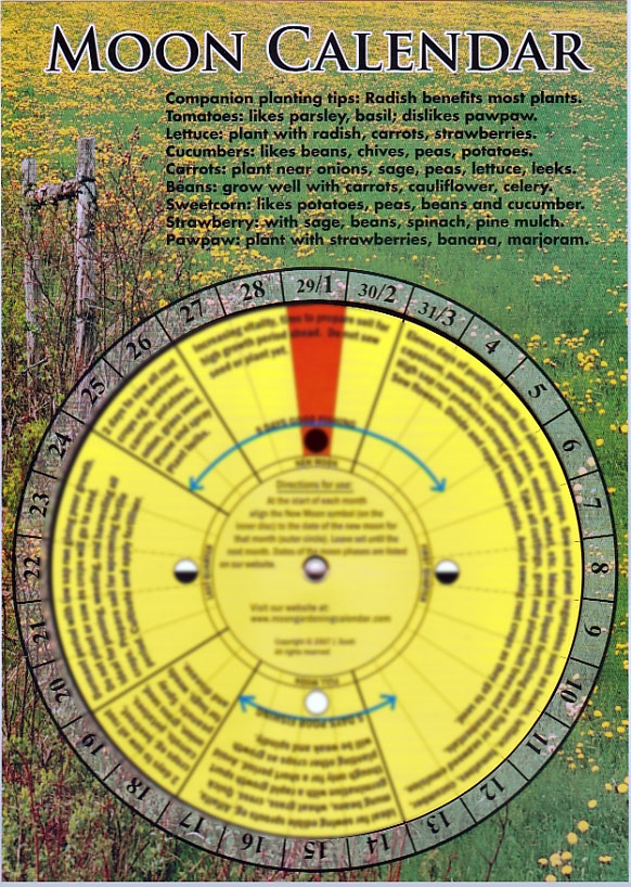 printable moon gardening calendar free