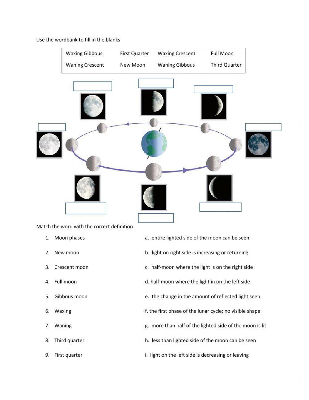 Moon Phases Online Exercise Live Worksheets Worksheets Library