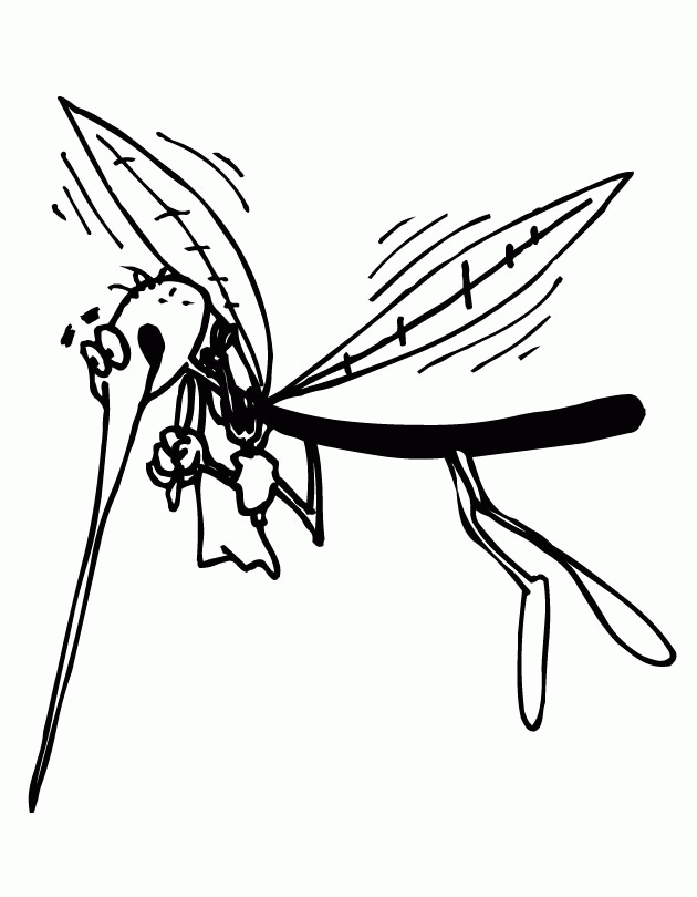 Mosquito Coloring Page Coloring Home