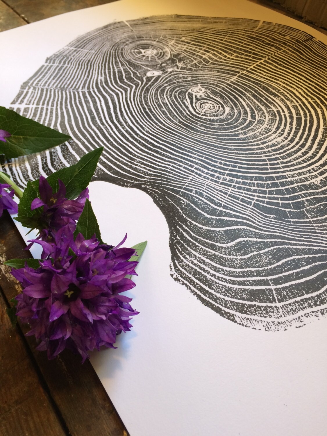 tree ring print art