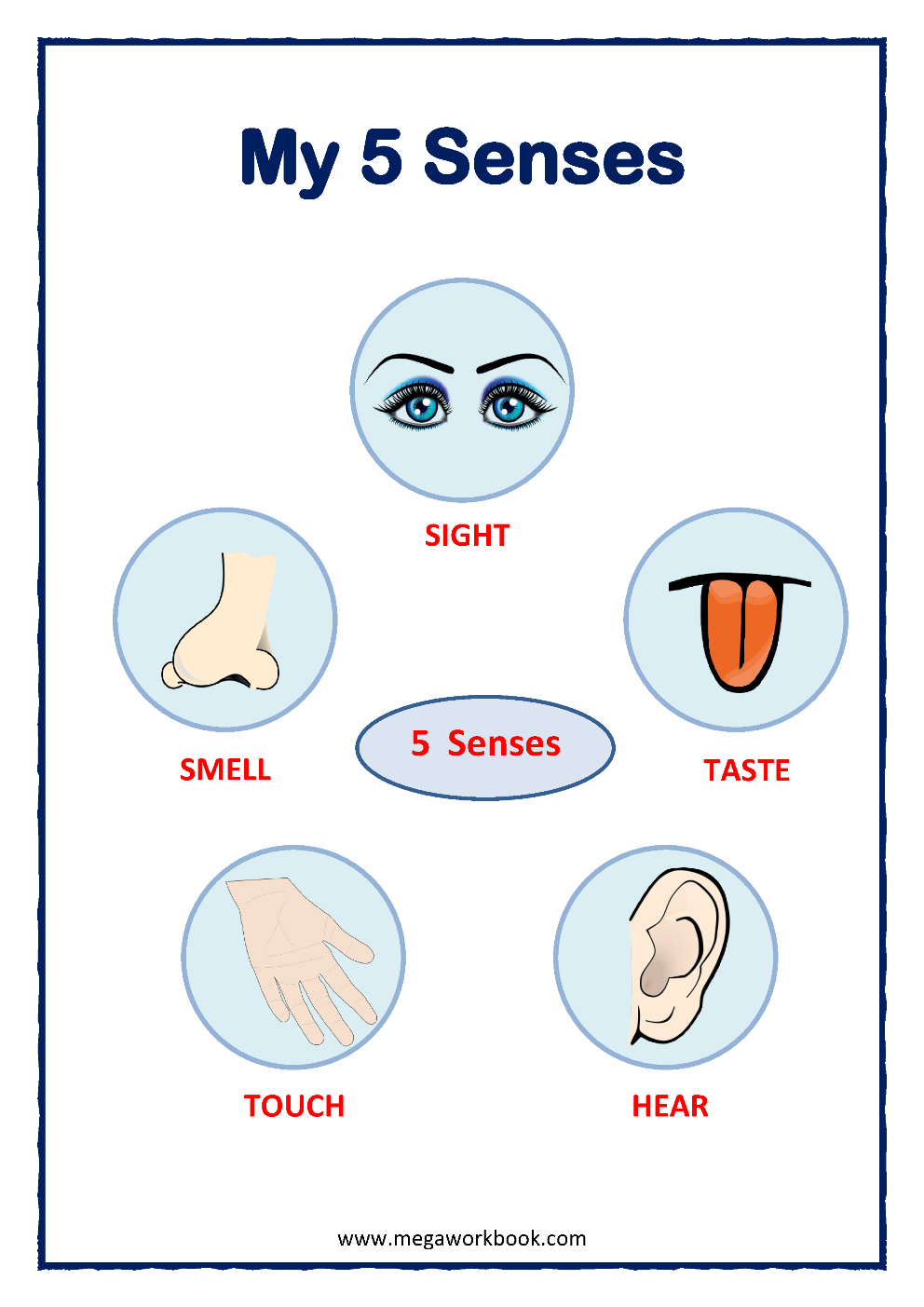 My Five Super Senses Activity Pack 20 Activities Five Sense 
