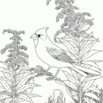 Nature Scenes Coloring Pages Coloring Home