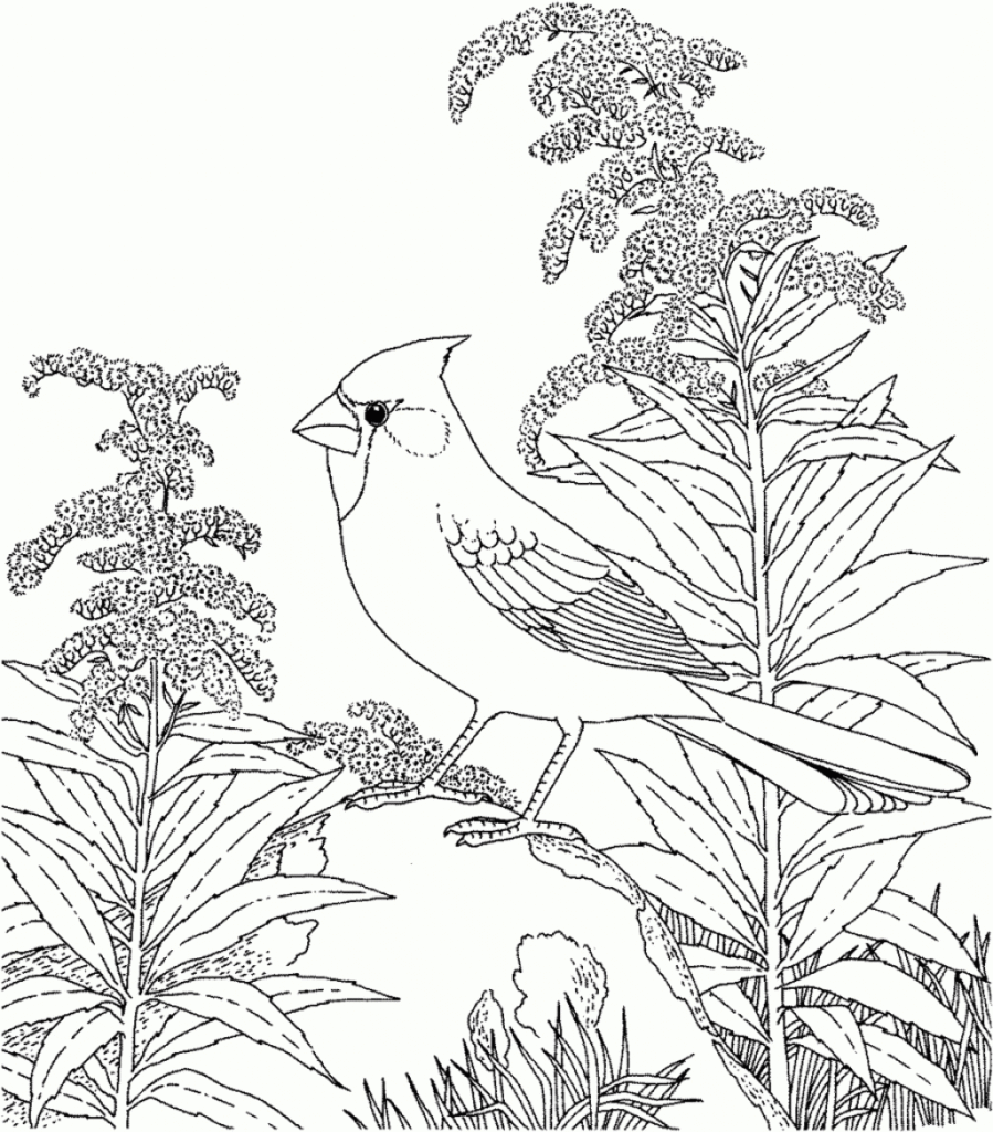 Nature Scenes Coloring Pages Coloring Home