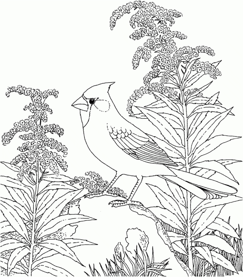 Nature Scenes Coloring Pages Coloring Home