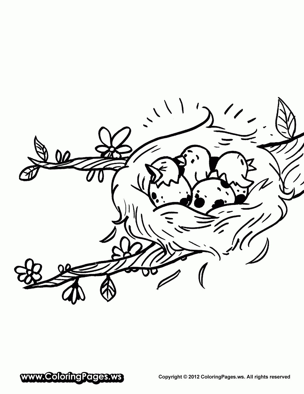 printable picture of nest
