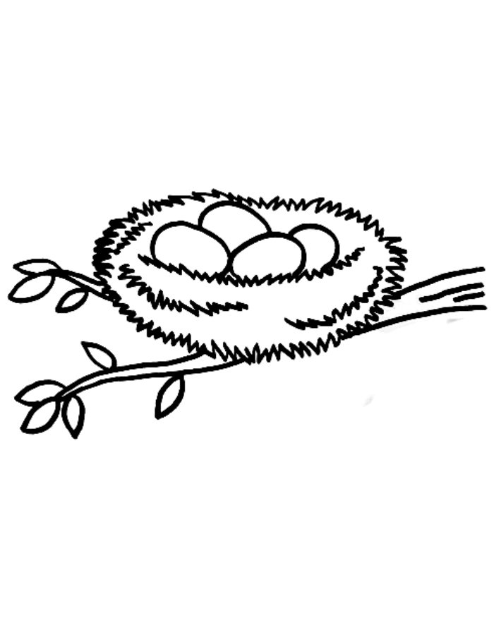 Nest Printable Drawing Coloring Page Free Printable PDF 
