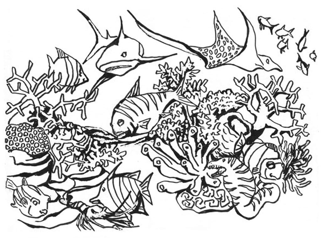 Nice Ocean Scene Coloring Page Free Printable Coloring Pages For Kids