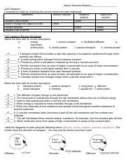 Nneoma Nnakwu Cell Transport Review Worksheet doc pdf Name 