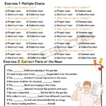 Noun Exercises Noun Worksheet 7ESL