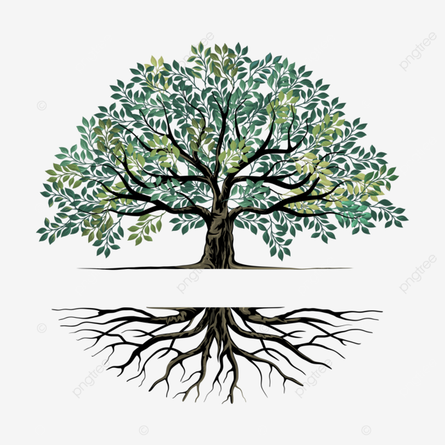 Oak Tree And Roots Logo With Text Space Oak Tree Logo Roots PNG And 