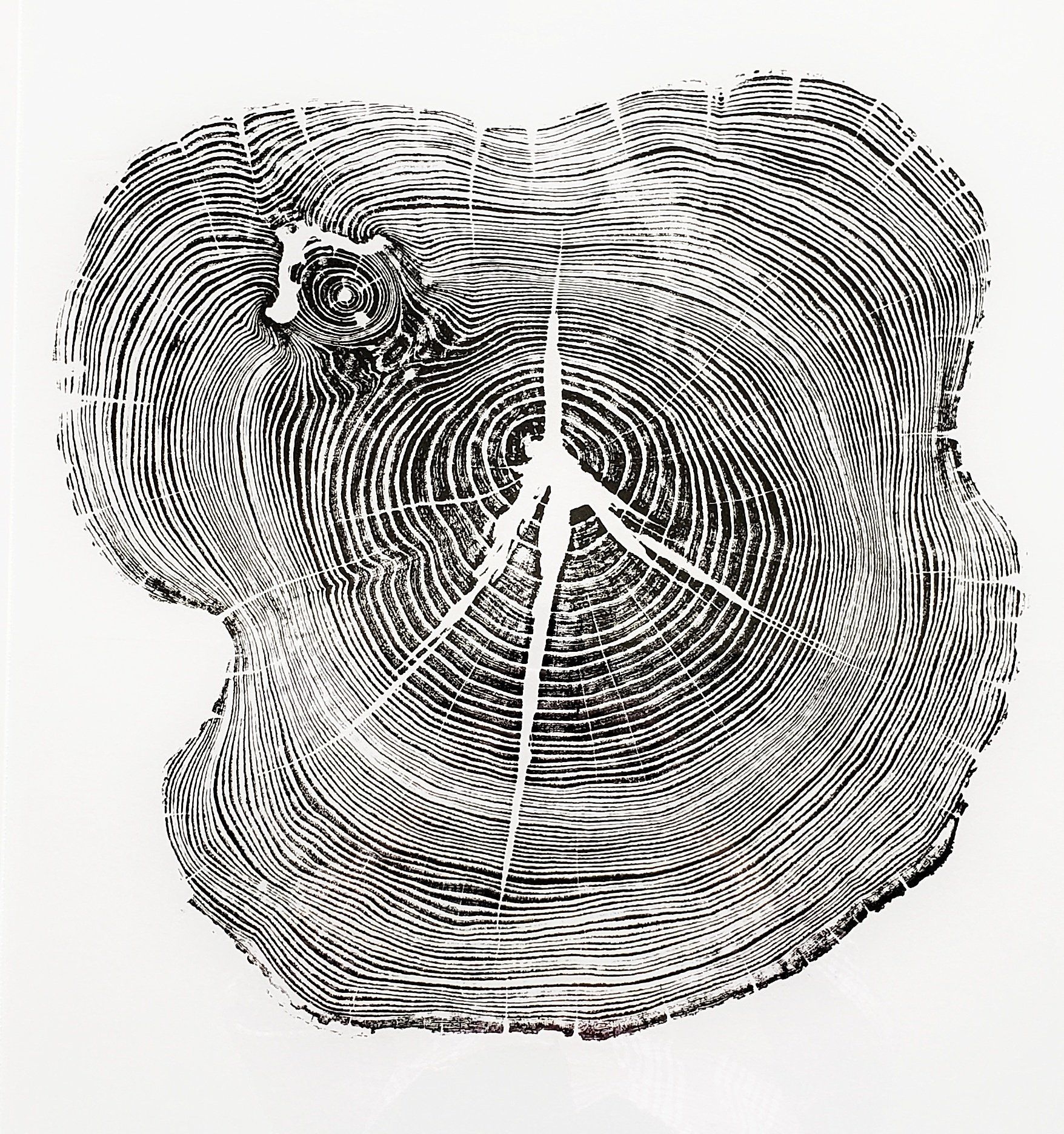 Ohio Locust Tree Tree Ring Print Woodcut Print Tree Ring Print Handmade 
