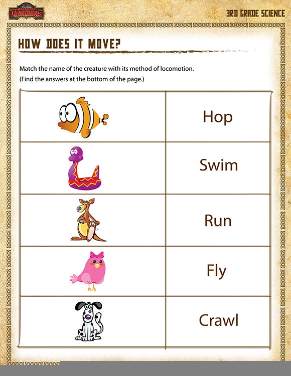 One Page Science Worksheets 3rd Grade Scienceworksheets