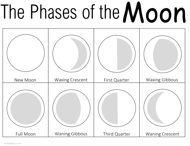 OREO Moon Activity Free Printable Worksheets Library