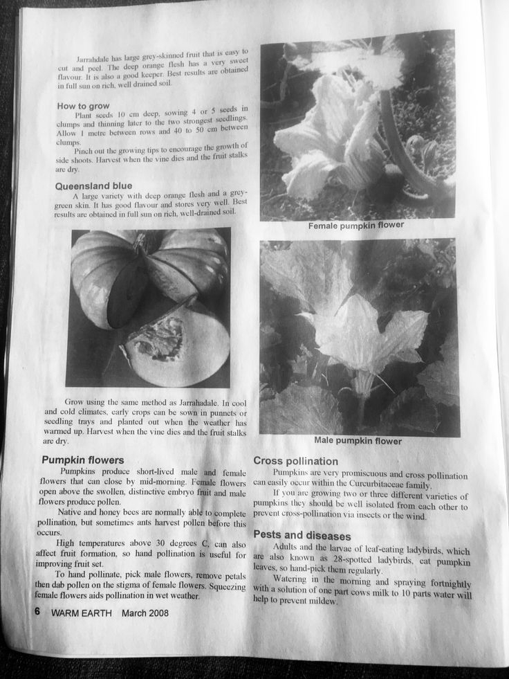 Organic Gardening Fact Sheet Edible Garden Fact Sheet Organic Gardening