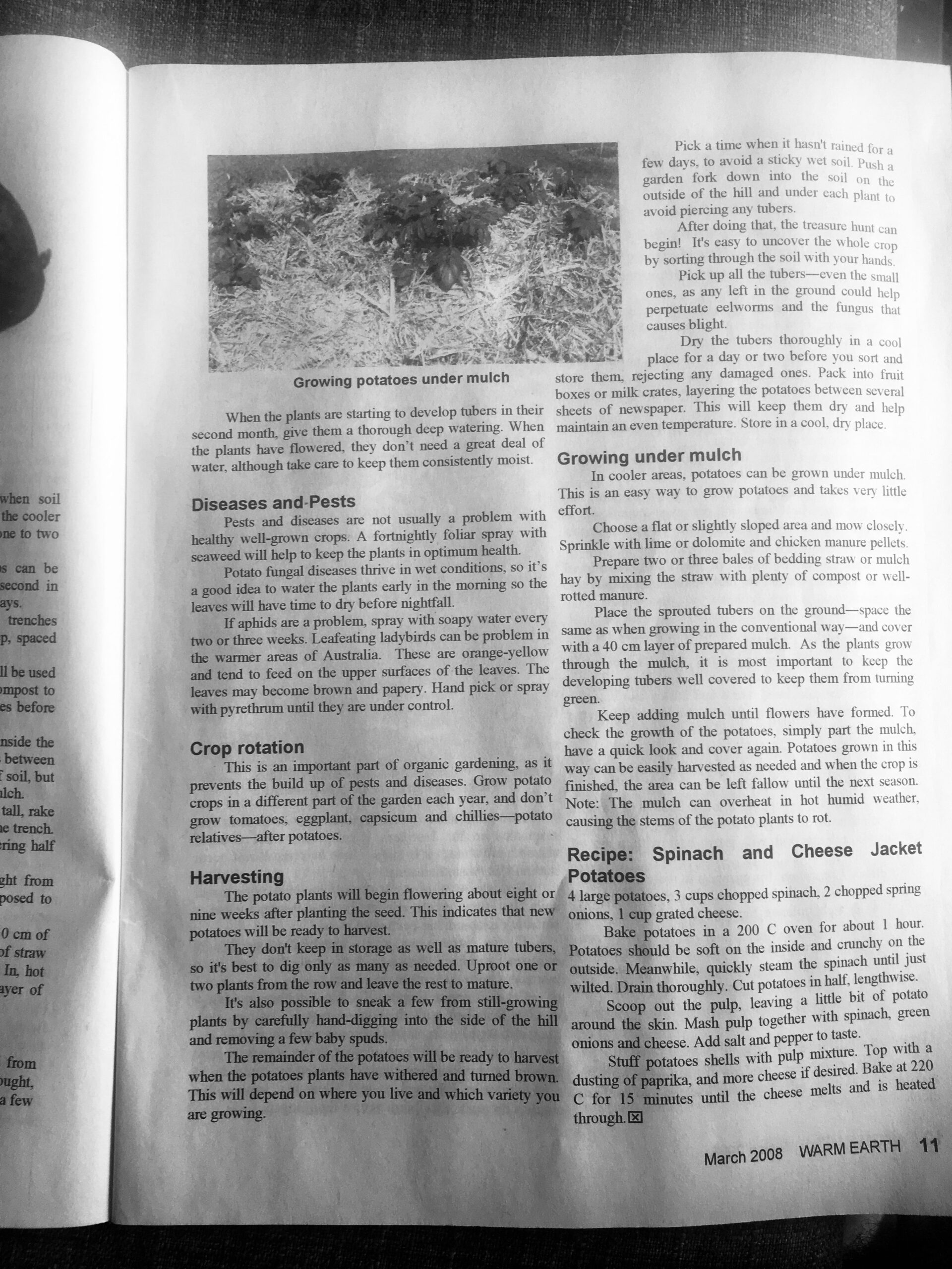 Organic Gardening Fact Sheet Growing Potatoes Edible Garden Tubers