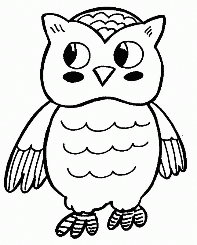 Owl Coloring Pages