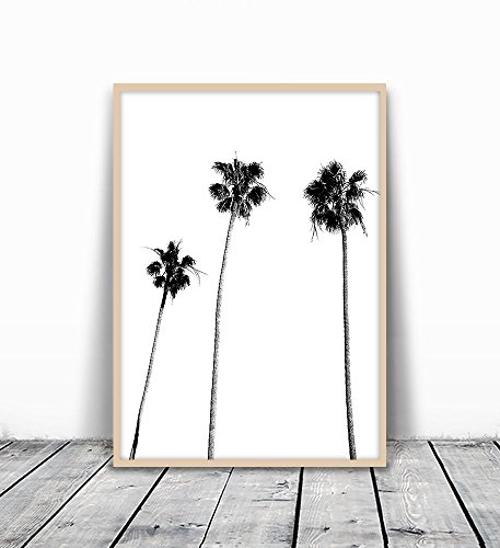 Palm Tree Print Palm Print Palm Tree Photography Black And White