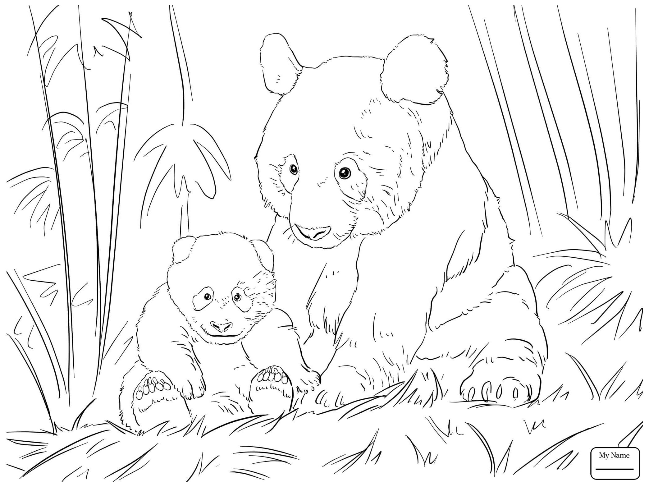 Panda Bear Coloring Pages At GetColorings Free Printable 