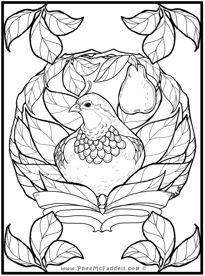 Partridge In A Pear Tree Coloring Page