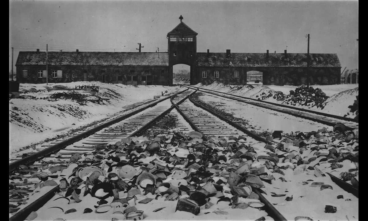 Path To Nazi Genocide Worksheet Jones Kinesen