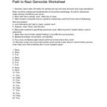 Path To Nazi Genocide Worksheet pdf Path To Nazi Genocide Worksheet 1