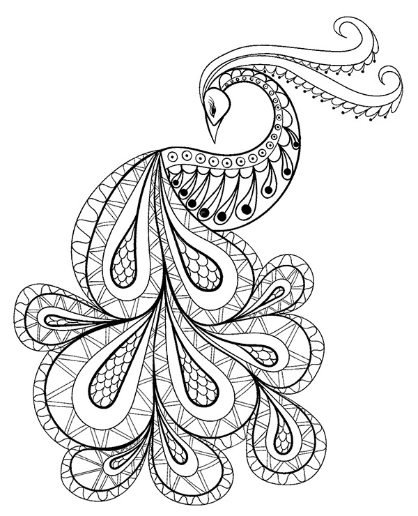 Peacock Advanced Colouring Books Page To Color For Adults
