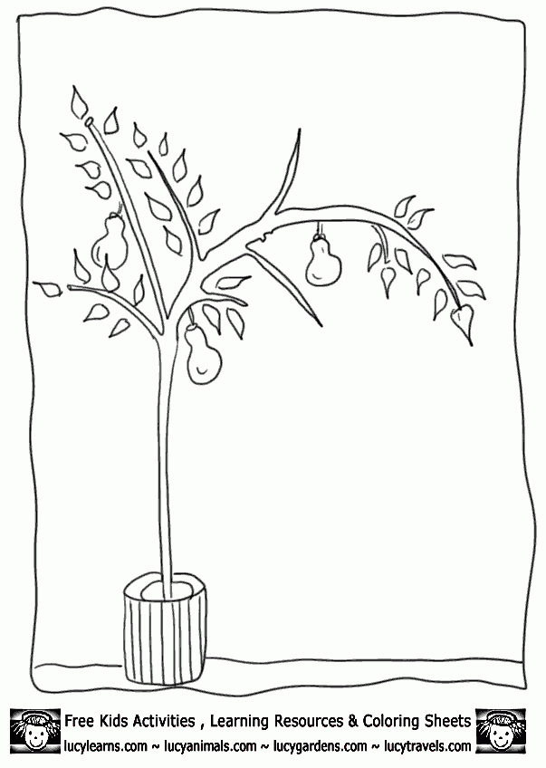 partridge in a pear tree printable coloring pages