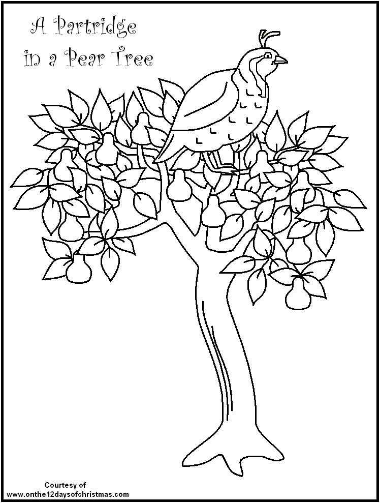 Pear Tree Coloring Pages Download And Print For Free