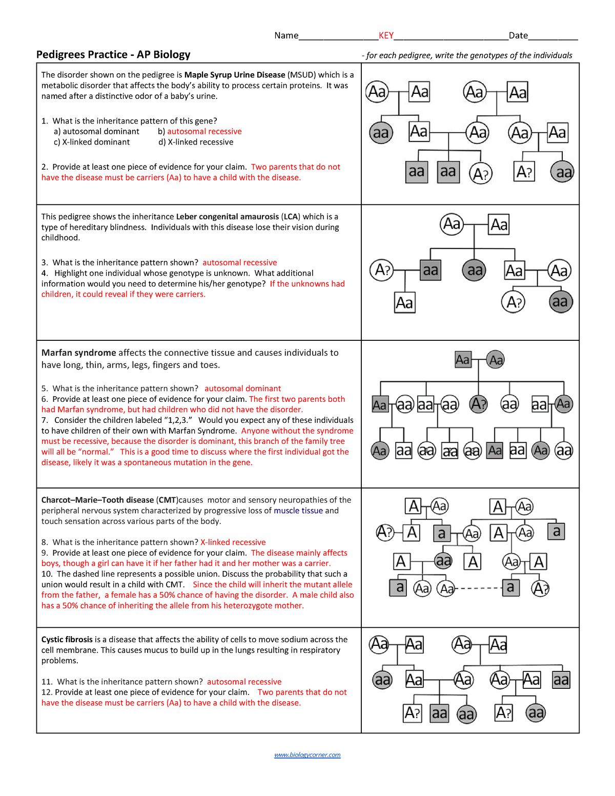 pedigree worksheet answers