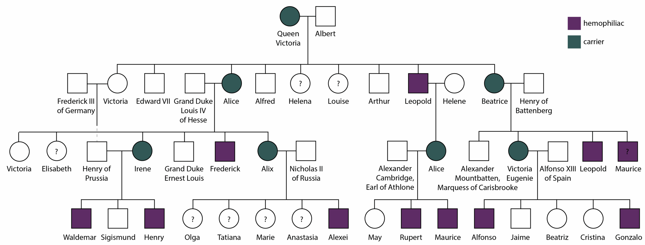 Pedigree Worksheet Interpreting A Human Pedigree Answers Thekidsworksheet
